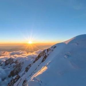 Meet your Posher, Sharonda